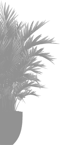 plant-500